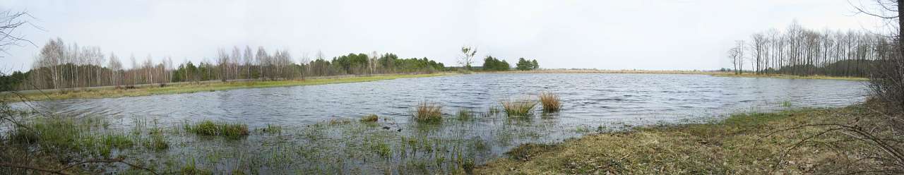Пейзажі - Пнівне