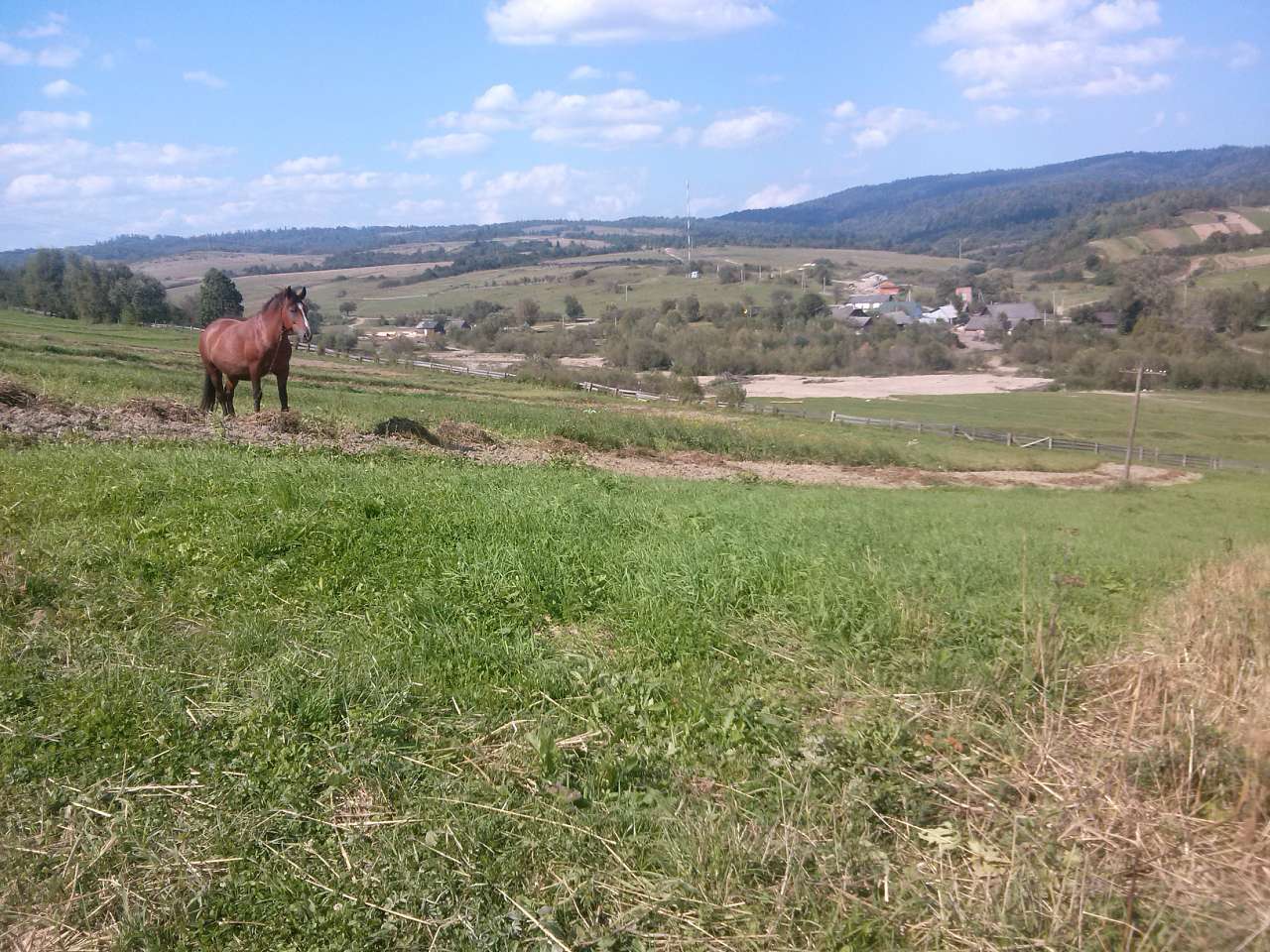 Велика Лінина - Велика Лінина
