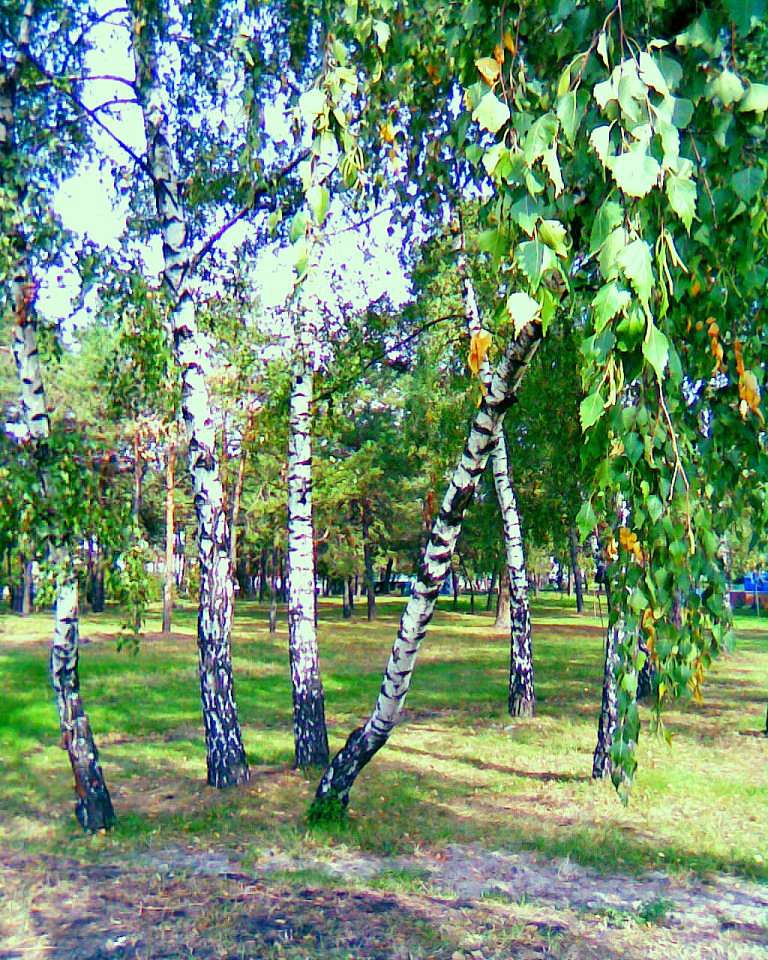 Семенівка - Семеновка