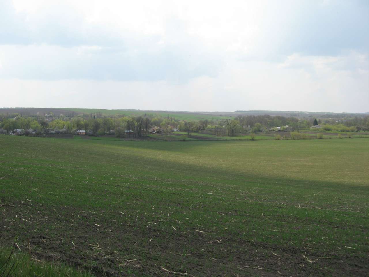 Кам'яногірка - Kamyanogirka