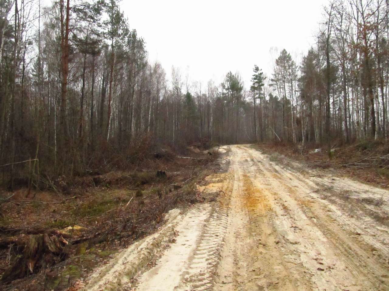 Паранине - Паранине