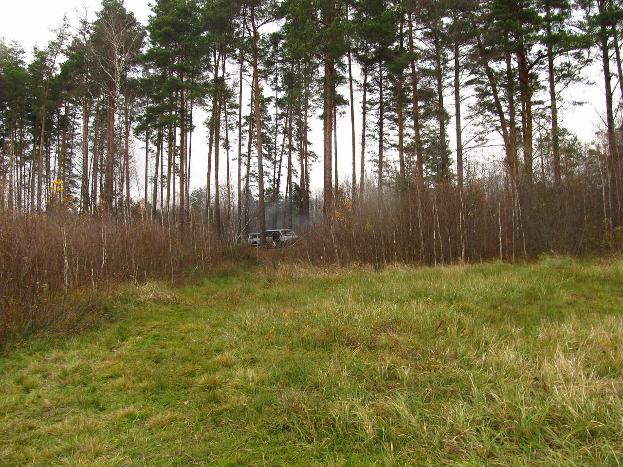 Паранине - Паранине