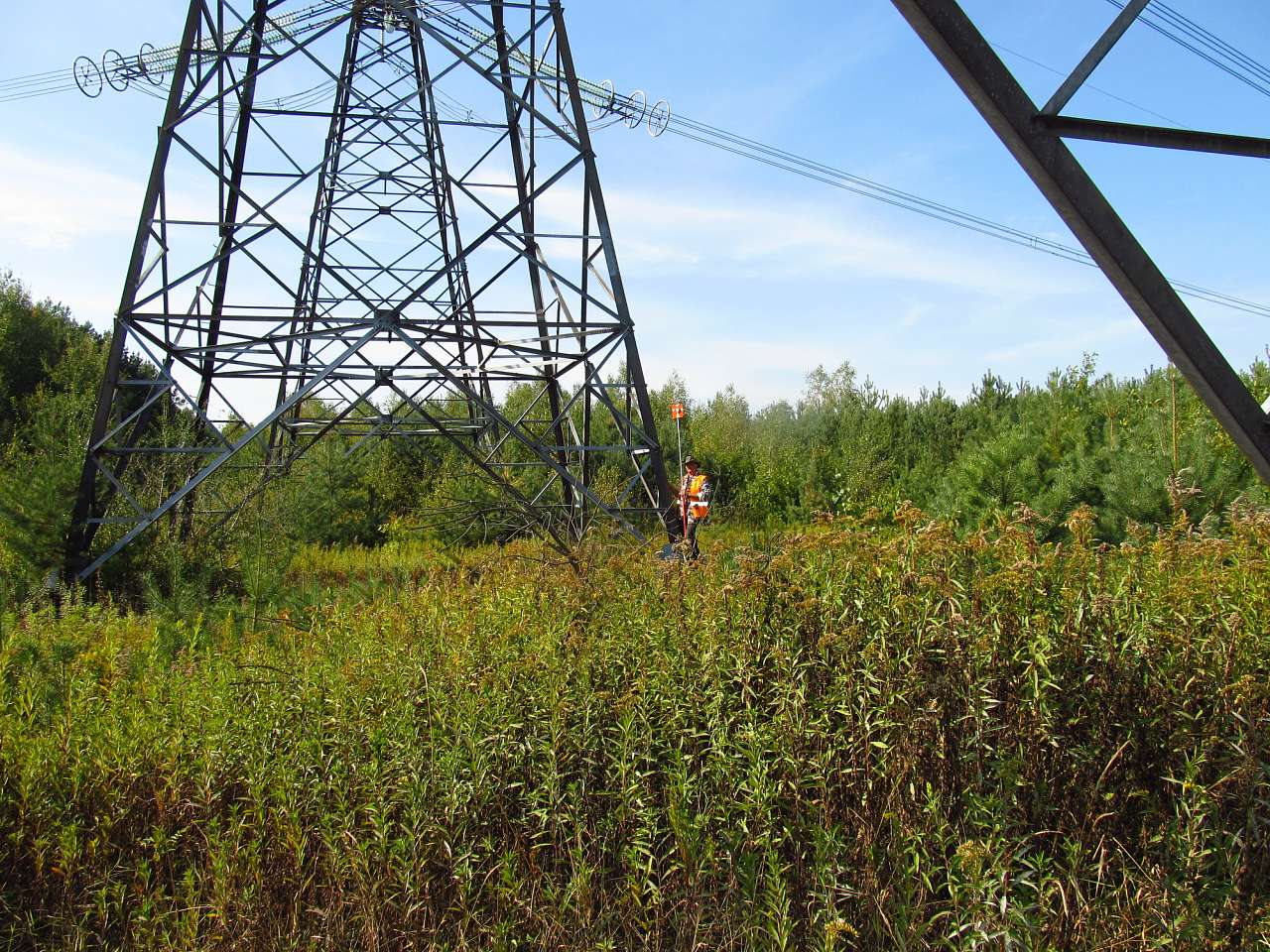 Рідкодуби - Редкодубы