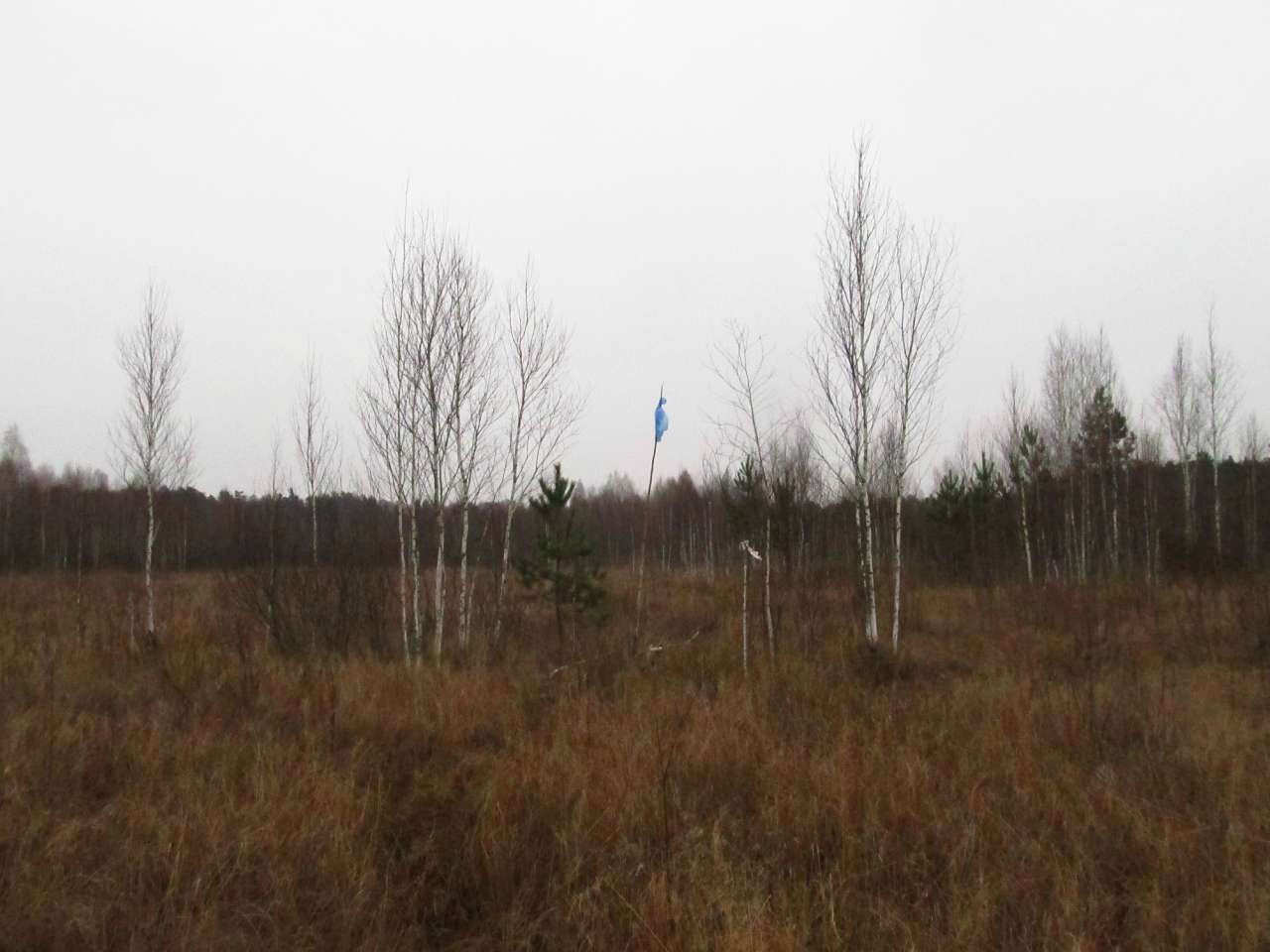 Паранине - Паранино