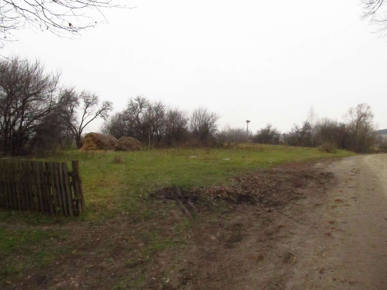 Яблунівка. У відрядженні. 21 листопада 2012. - Яблунівка