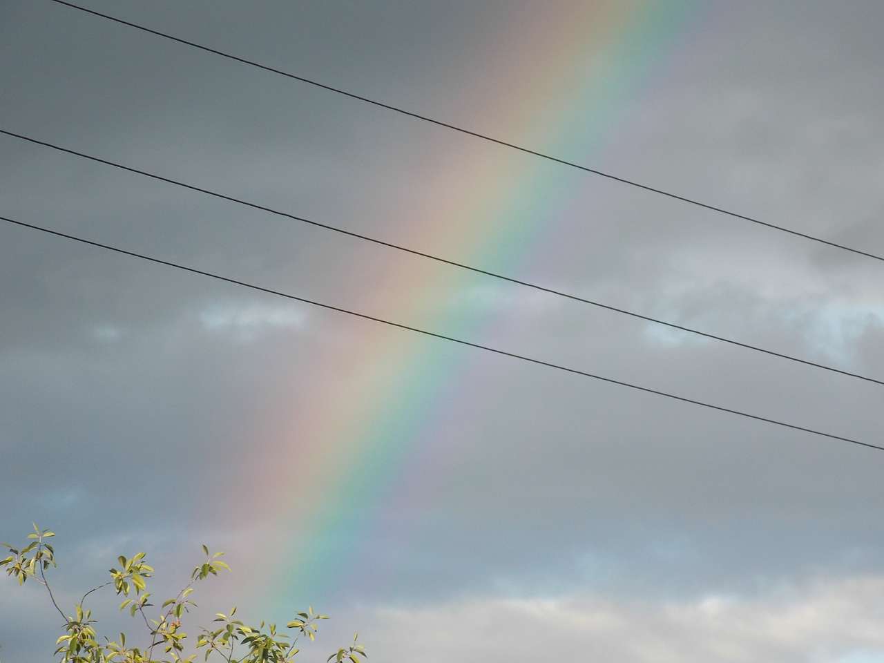 Городня  - Городня