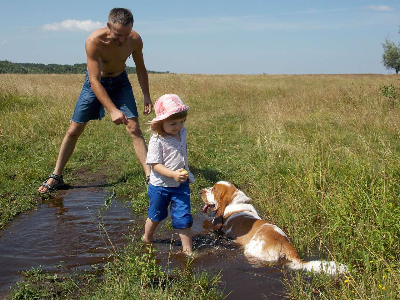 Городня  - Городня