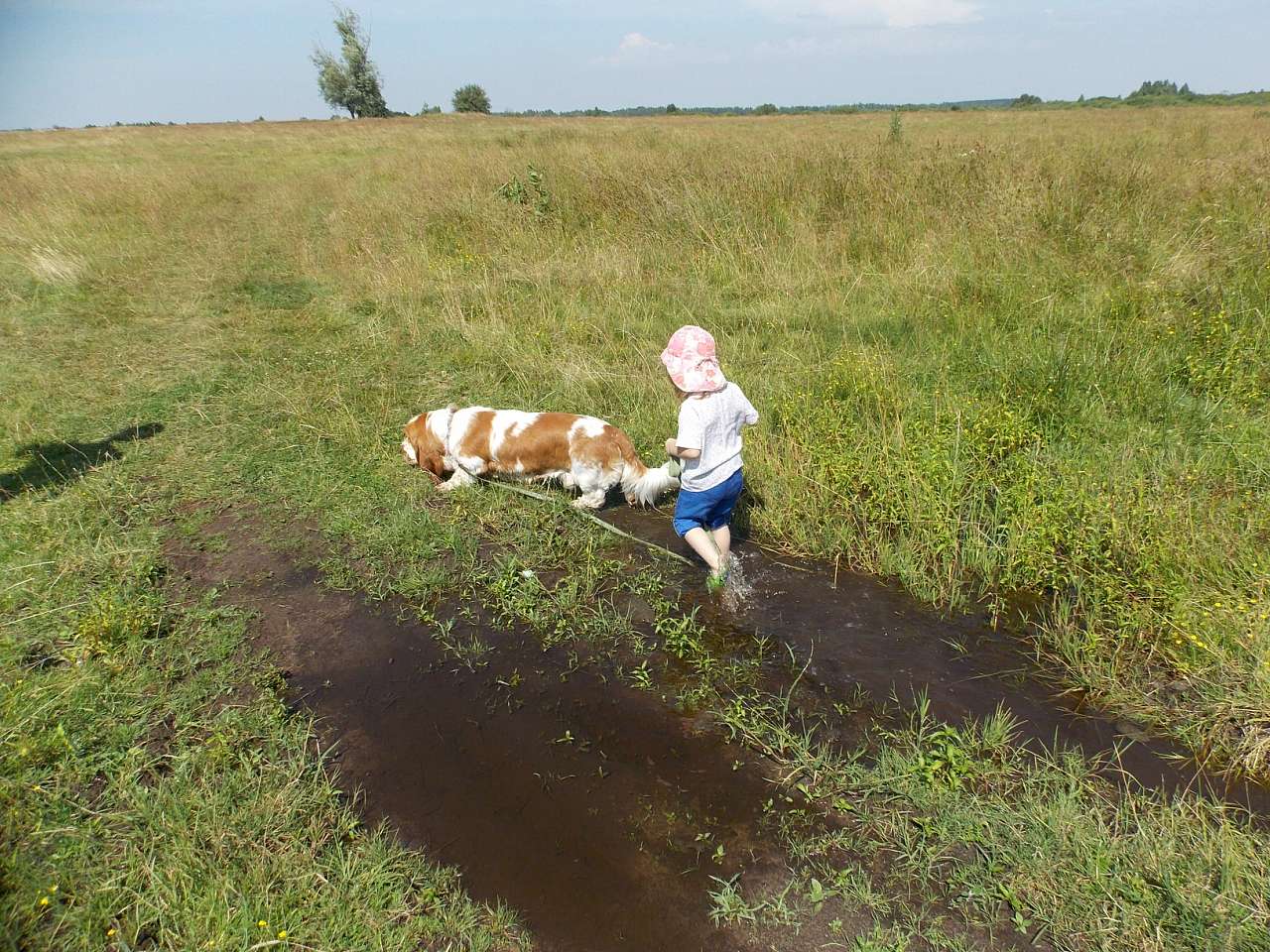 Городня  - Городня