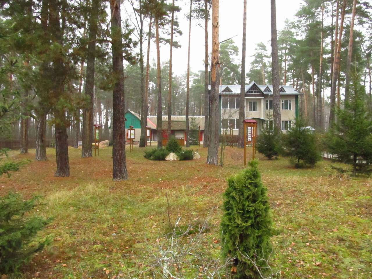 Паранине - Paranyne