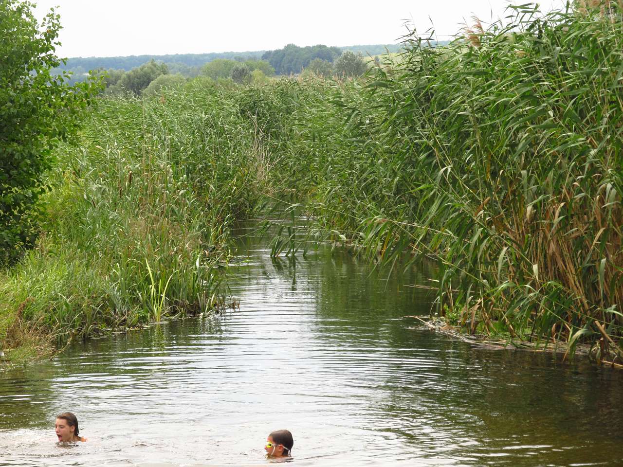 Річка Харків в Циркунах. - Циркуны