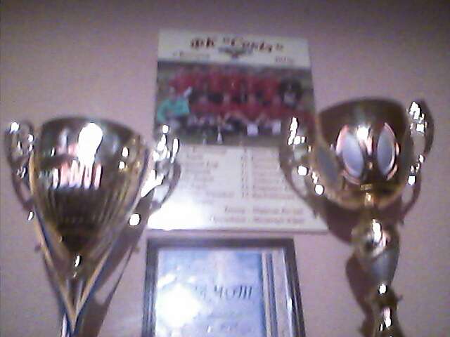 Кубки футболістів Вовчух - Вовчухи