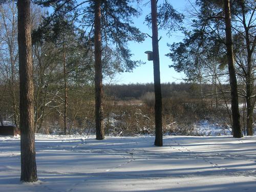 Коровинці - Korovyntsi