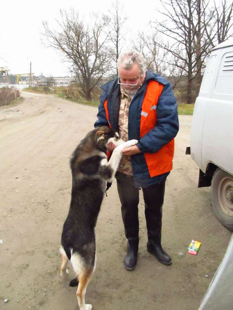 Паранине - Паранине