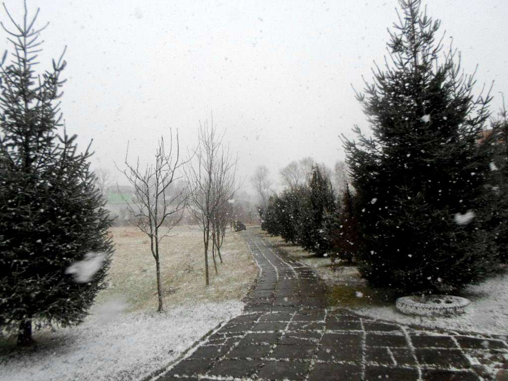 Краєвид - Голобутів