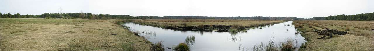 Пейзажі - Пнівне