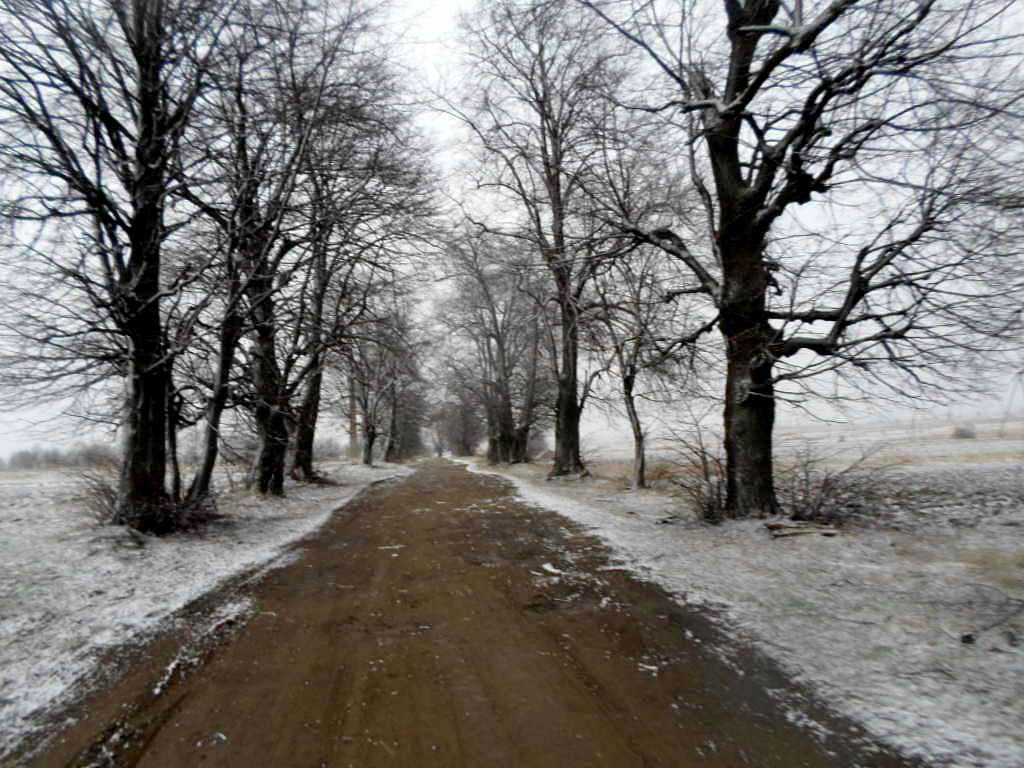 Краєвид - Голобутів