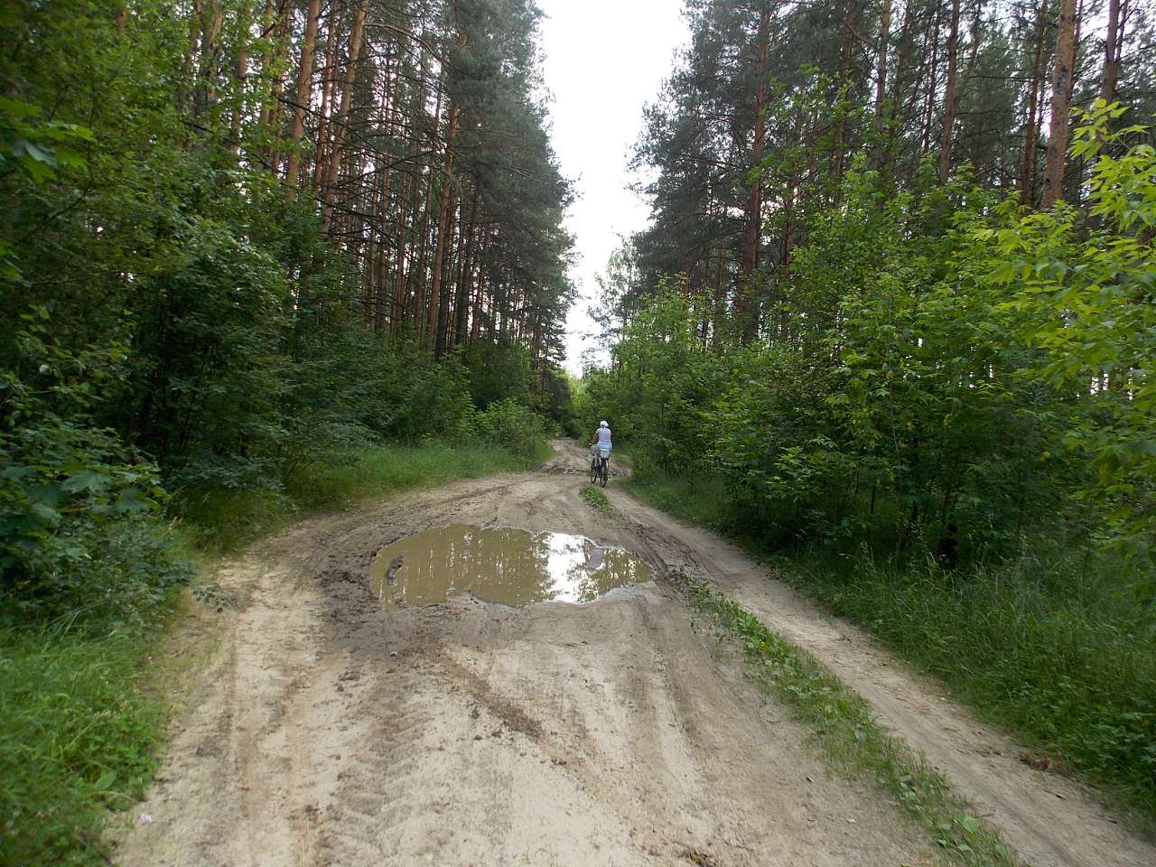 Городня  - Городня