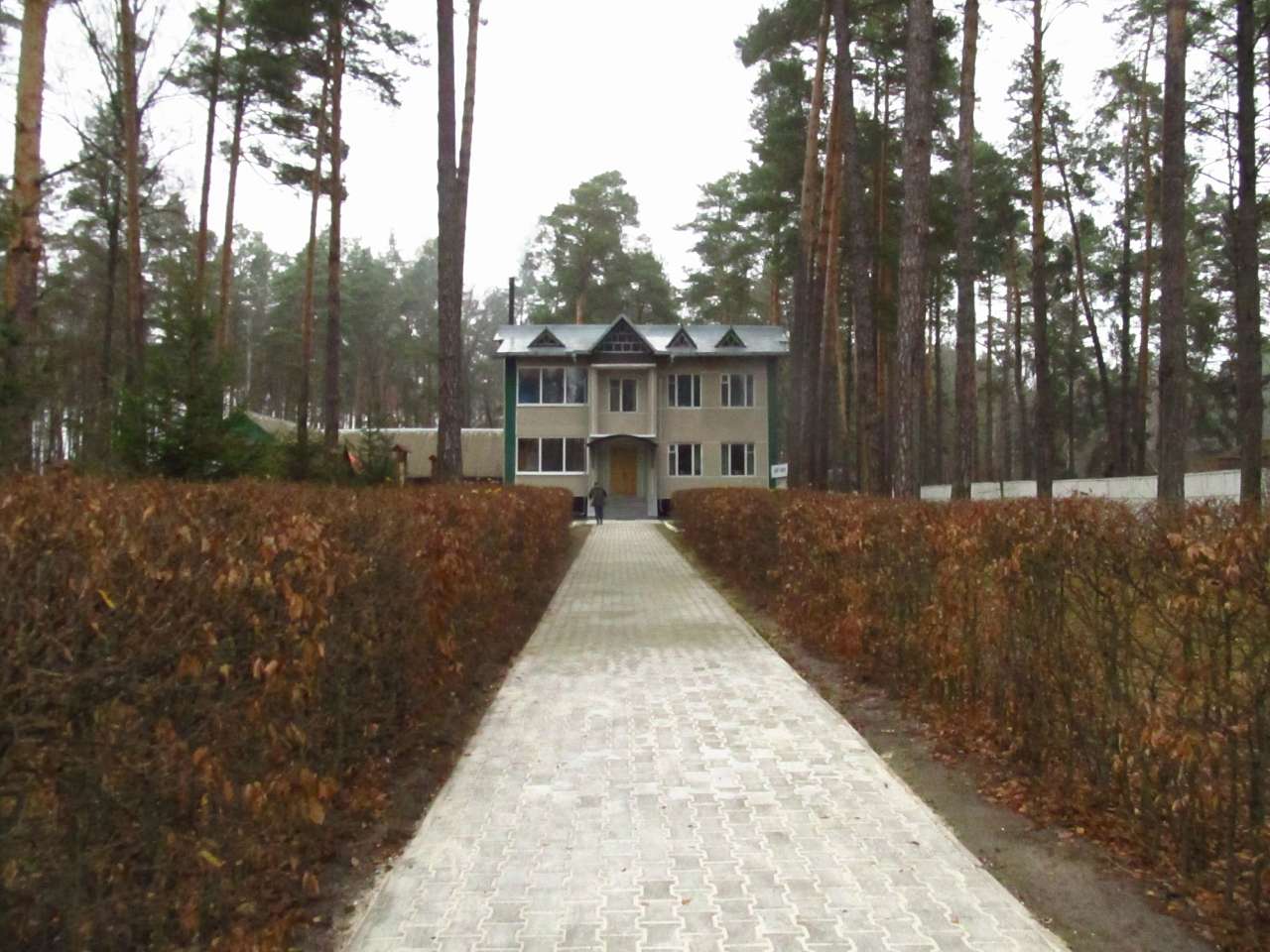 Паранине - Paranyne