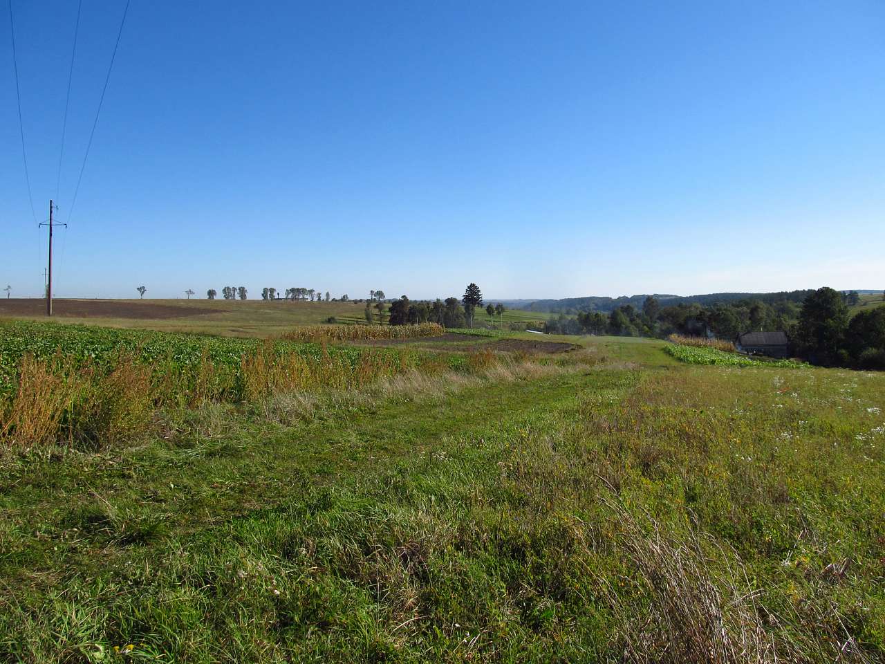 Башуки - Башуки