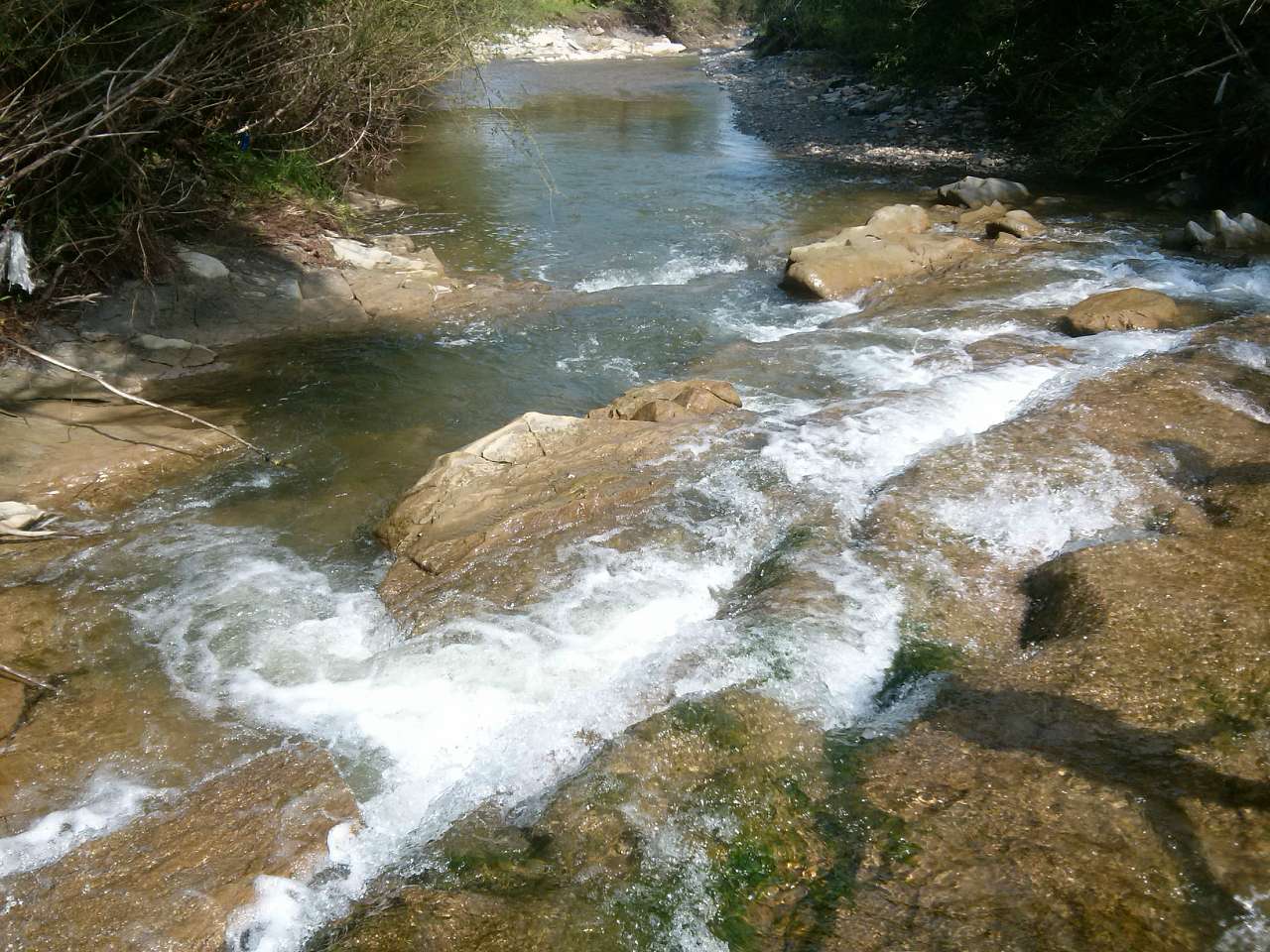 Велика Лінина - Велика Лінина