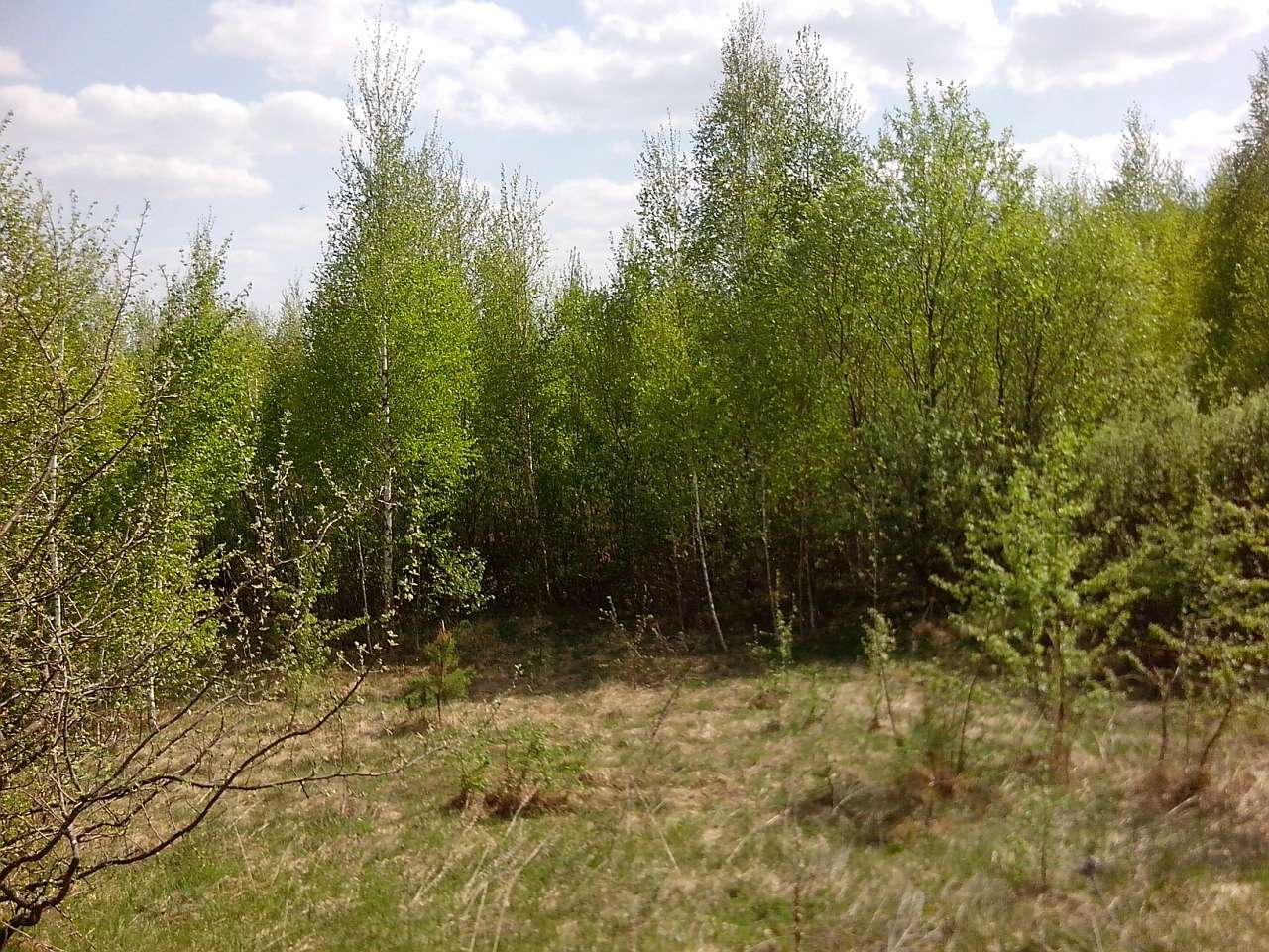 Городня  - Gorodnya