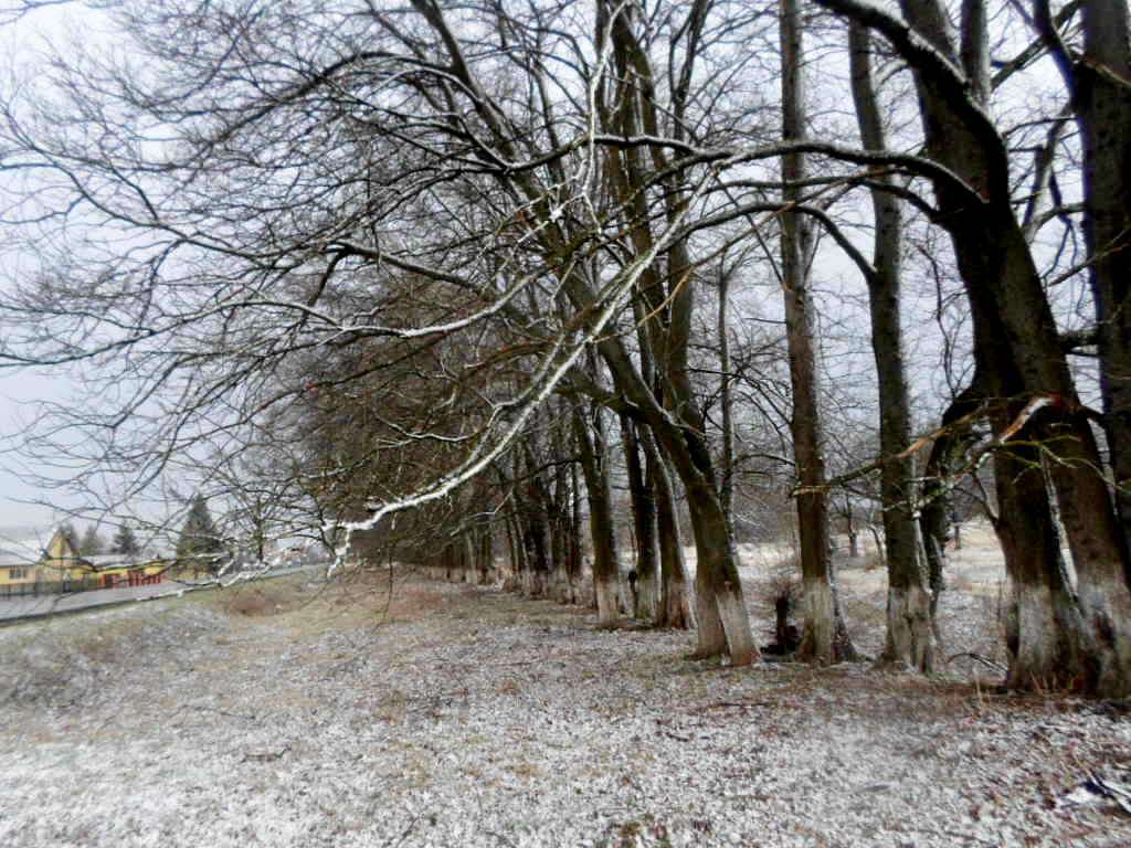 краєвид - Нежухів