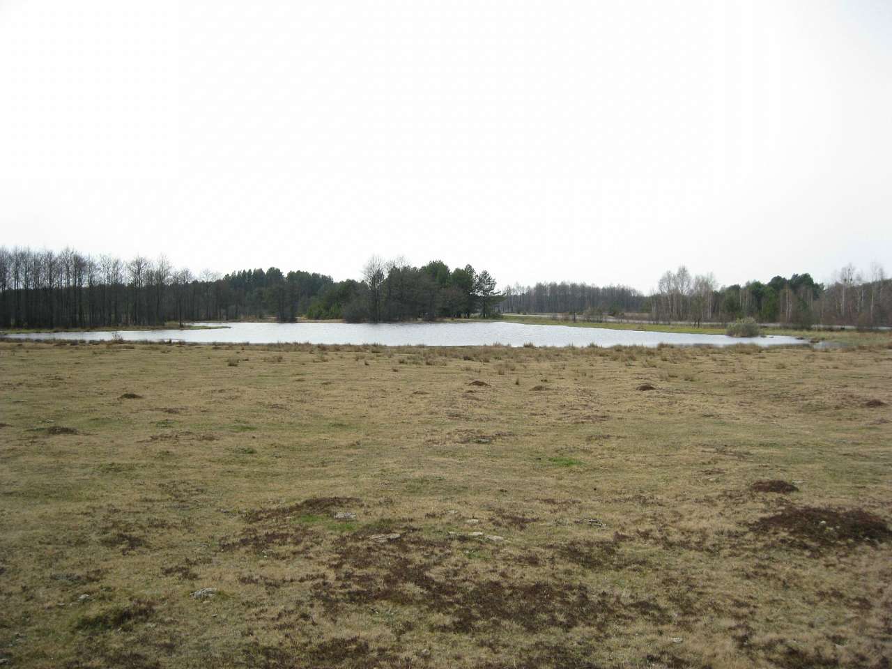 Пейзажі - Пнівне