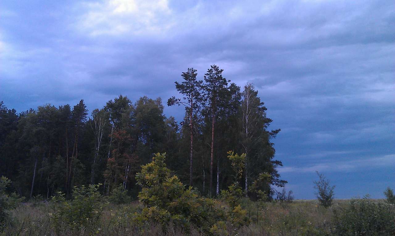 Городня  - Городня