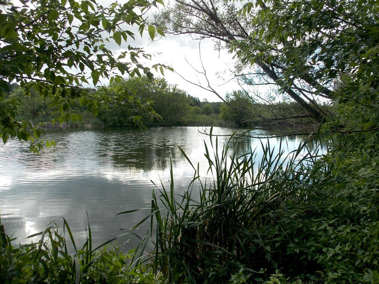 Городня  - Городня