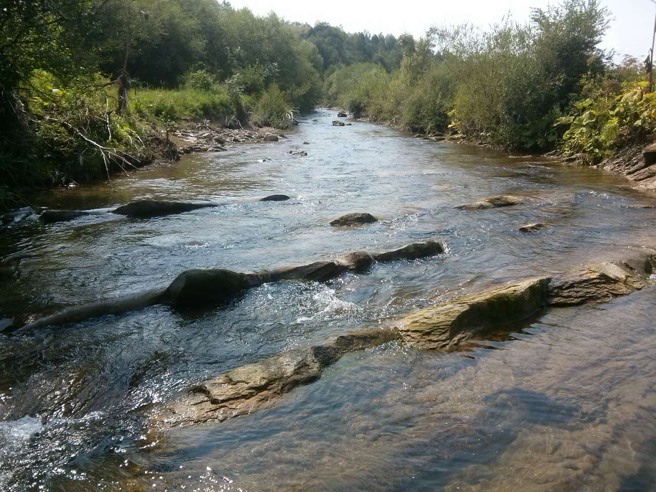 Велика Лінина - Велика Лінина