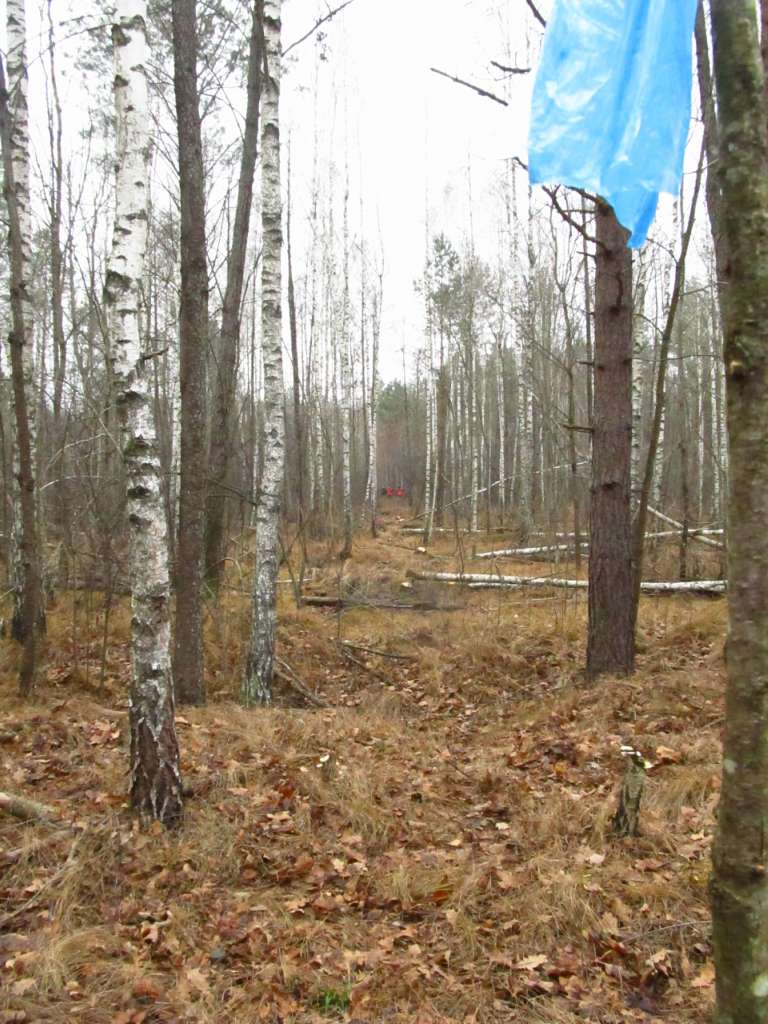 Паранине - Паранине