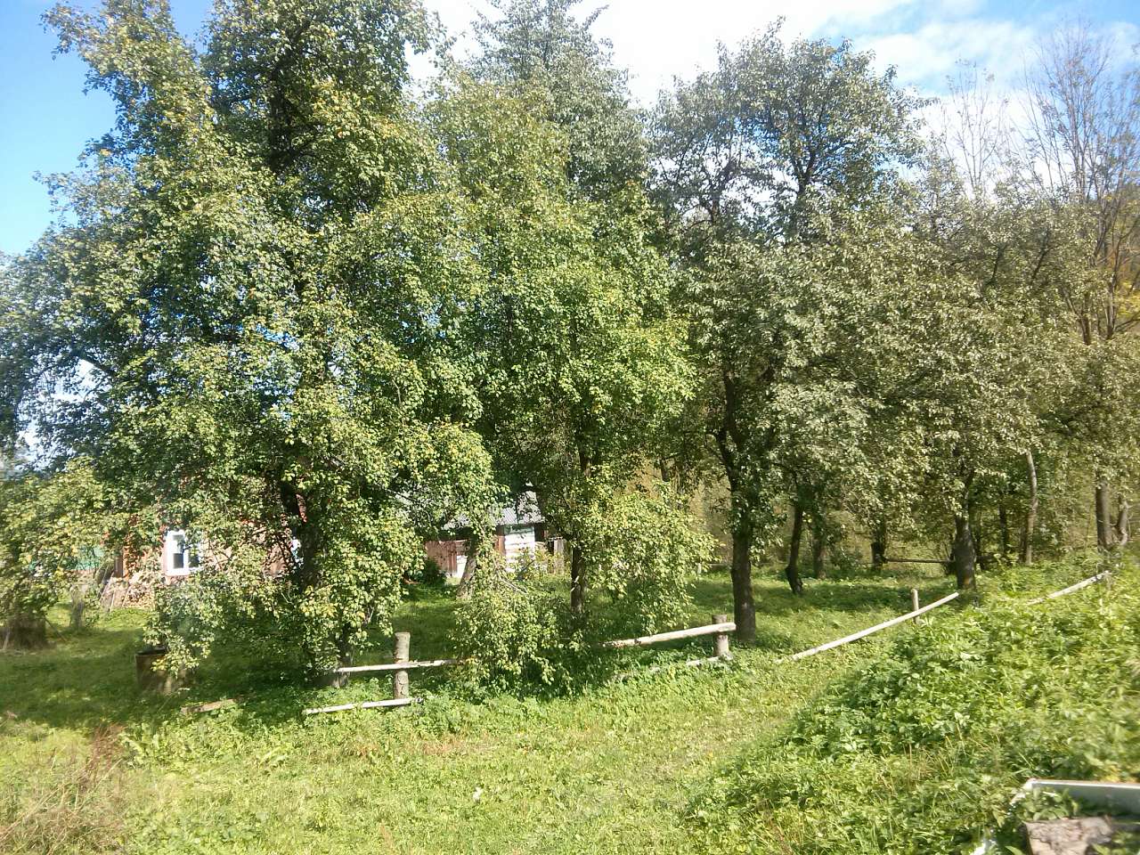 Велика Лінина - Велика Лінина