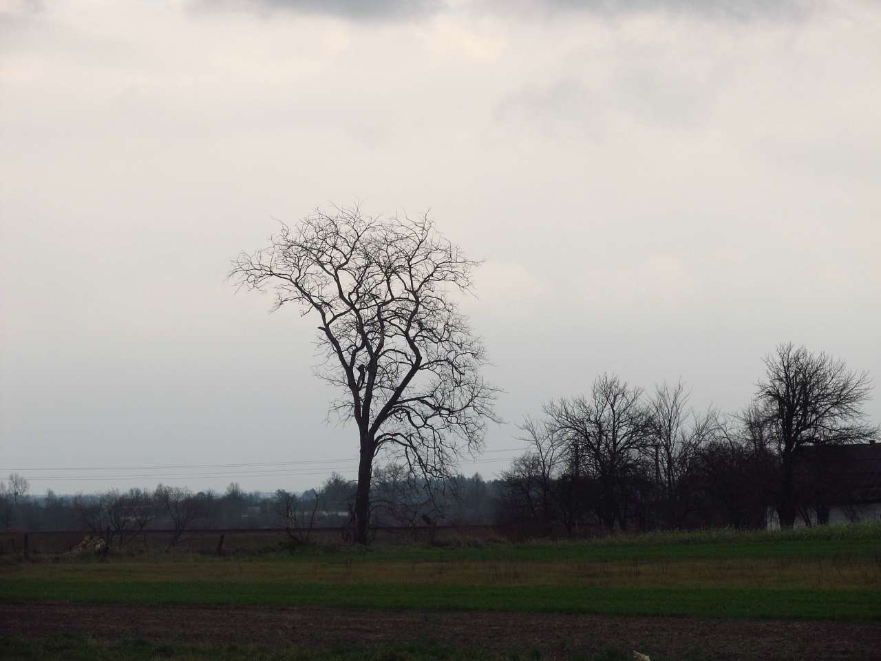 Зубковичі - Зубковичи