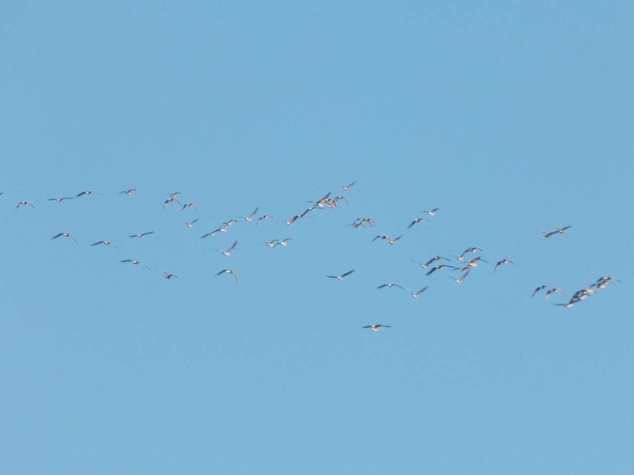 Городня  - Городня