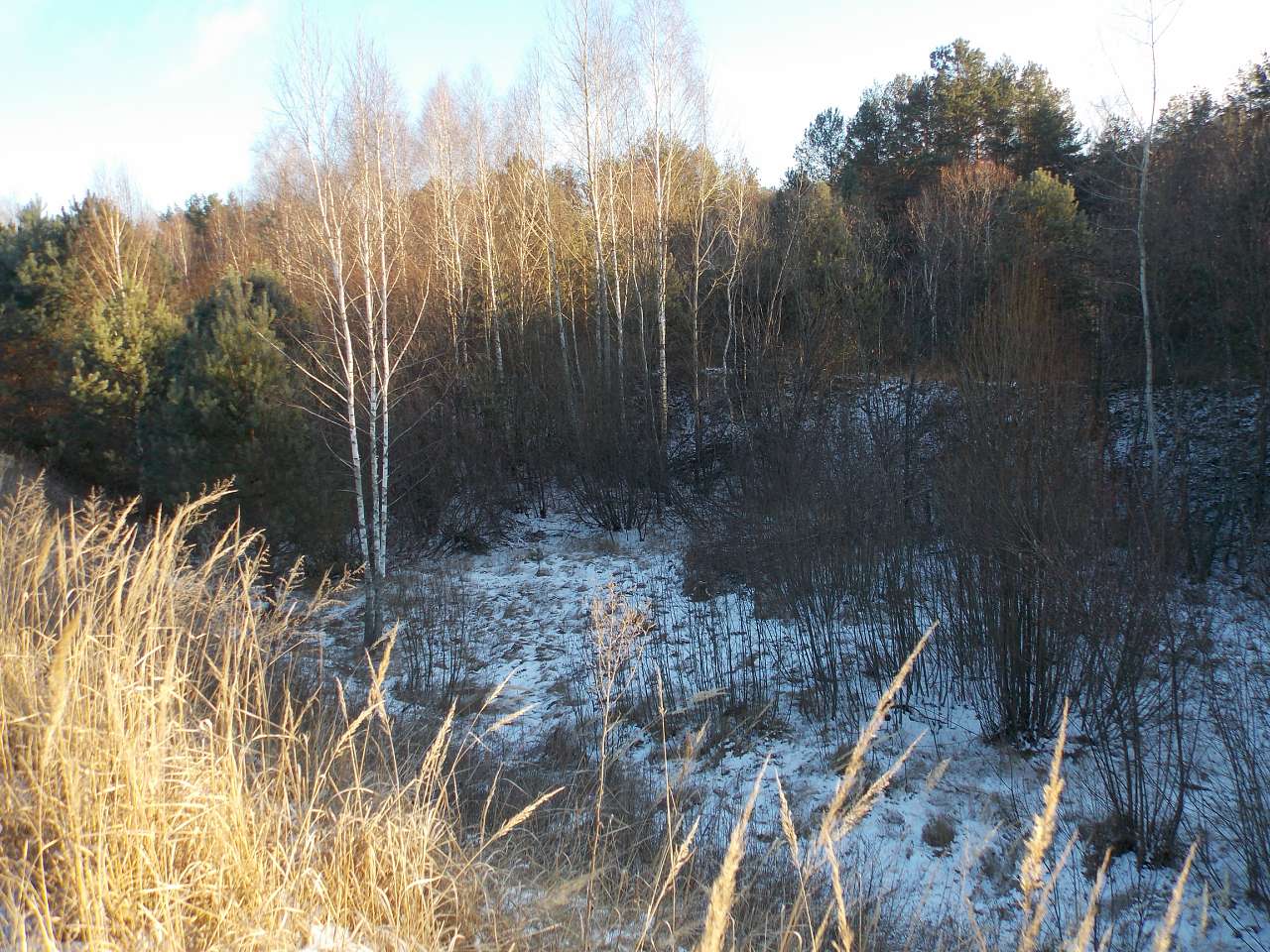 Городня  - Городня