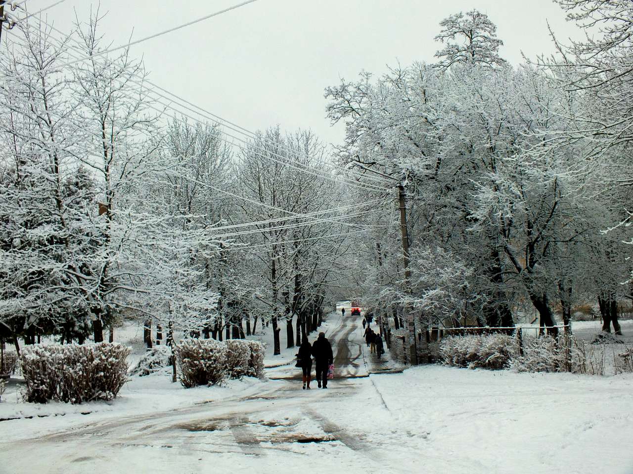 Стебник з panoramio.com - Стебник