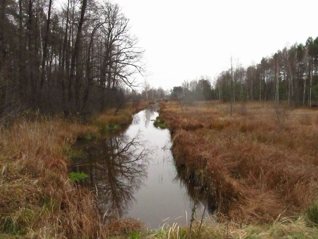 Паранине - Паранино