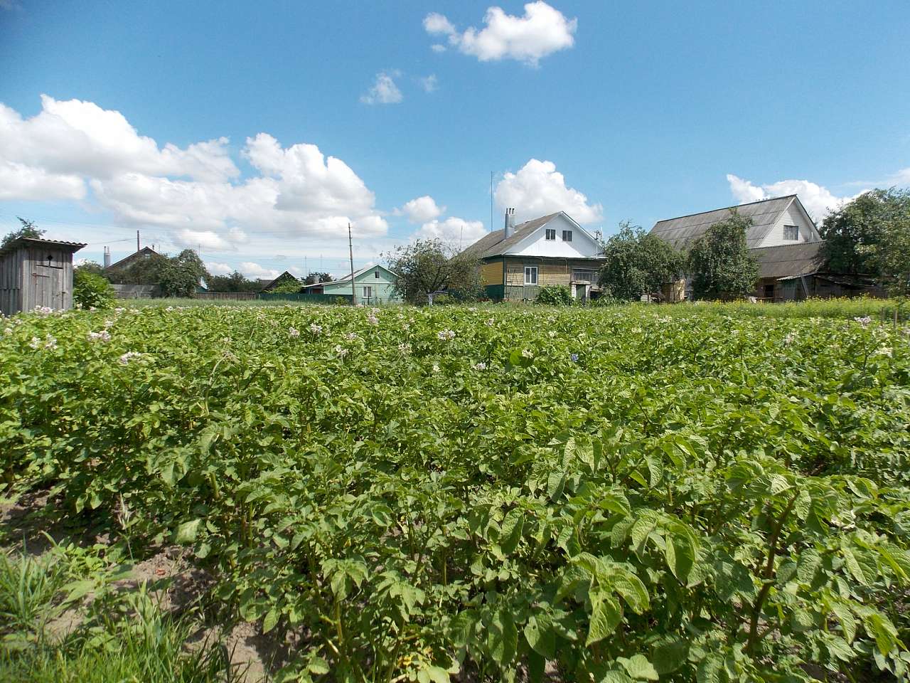 Городня  - Городня