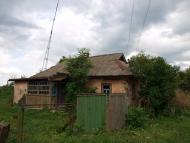 Старий Биків з panoramio.com