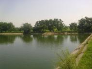 Приморське з panoramio.com