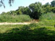 Нижня Дуванка з panoramio.com