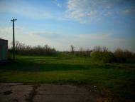 Наливайкове з panoramio.com