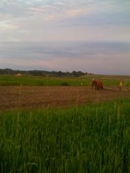 Замок з panoramio.com