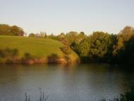 Підліснівка - Останні фото