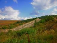 Синапне з panoramio.com