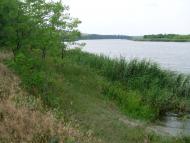 Счастливка - Последние фото