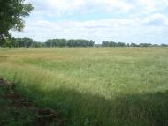 Копистин з panoramio.com