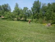 Карбівське з panoramio.com