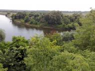 Араповичи з panoramio.com