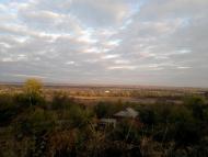 Карлівка з panoramio.com